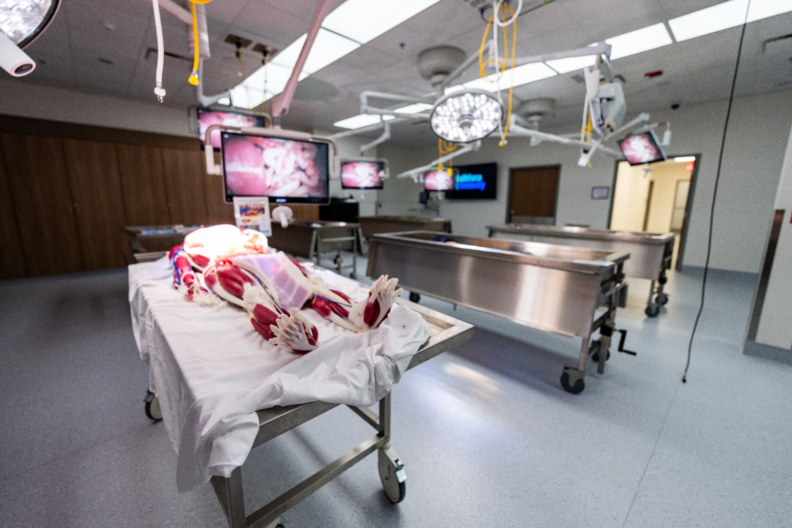 Anatomy lab with cadaveric specimen on a stainless steel examination table